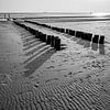Strandpalen in Zwart-wit Grafisch Spel van Licht en Structuur van Femke Ketelaar