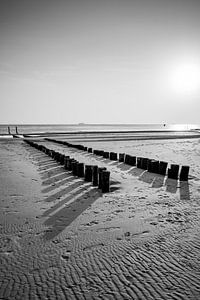 Postes de plage en noir et blanc Jeux graphiques de lumière et de structure