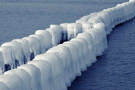 Ice-covered Groins van Jörg Hausmann