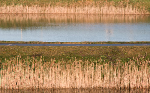 Schoonheid in eenvoud