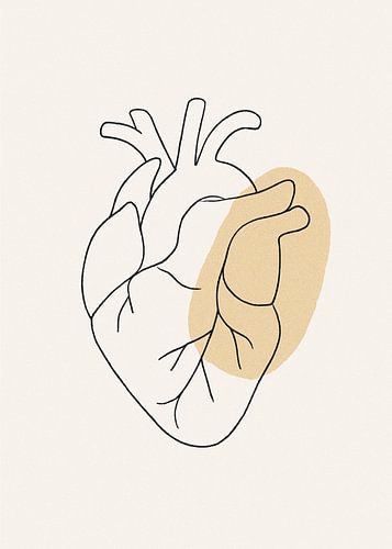 Line art heart anatomy - basic beige