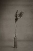 Vintage-Vase mit Federn, noir