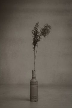 Vintage-Vase mit Federn, noir von Raoul van Meel