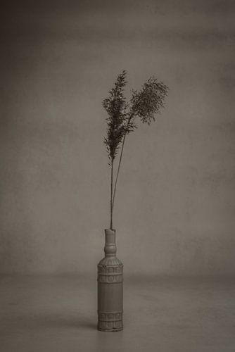 Vintage-Vase mit Federn, noir