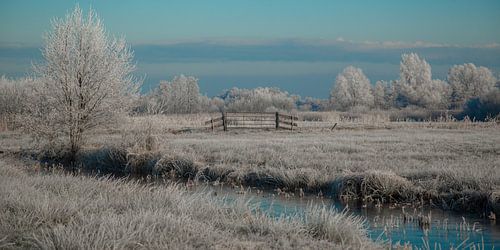 tweeluik: winter in de wieden