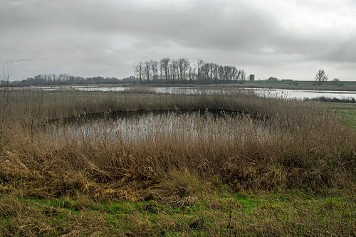 landschap bewerkt in ongekleurde horizon