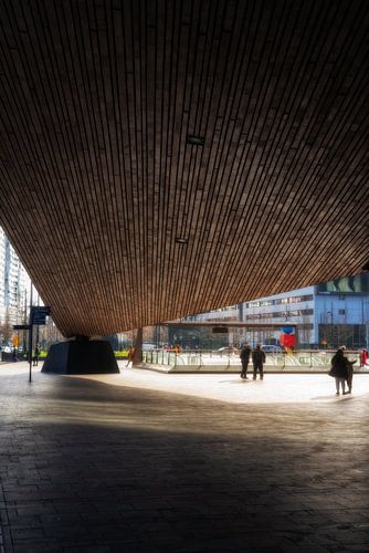De lijnen van het Centraal station van Rotterdam in Nederland op een zonnige dag.