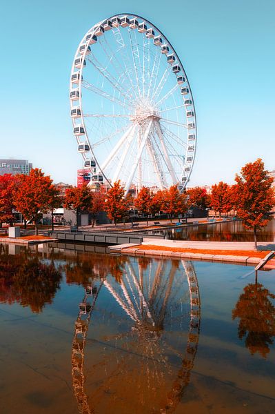 Montreal by Hello Pompoyo