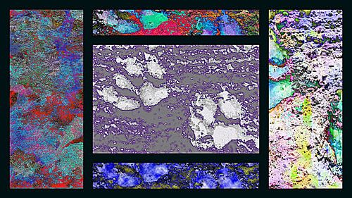 Paw Prints Ingelijst