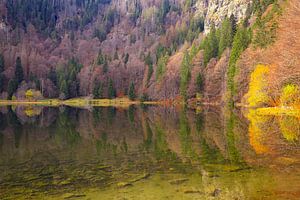 Feldsee Schwarzwald I