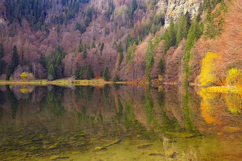 Feldsee Schwarzwald I von Patrick Lohmüller