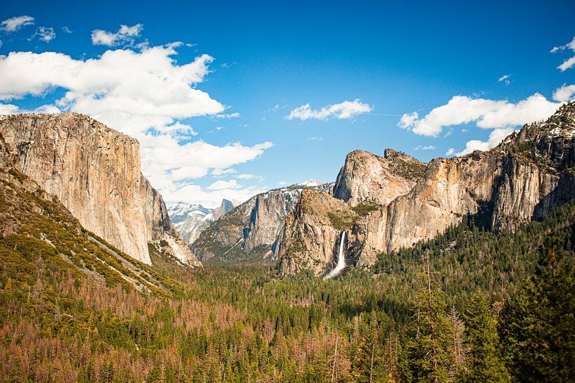 Adembenemend Uitzicht op El Capitan en Bridalveil Falls in Yosemite Nationaal Park, Californië van LotsofLiekePrints