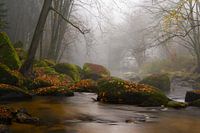 Herfstnevel op de Aist