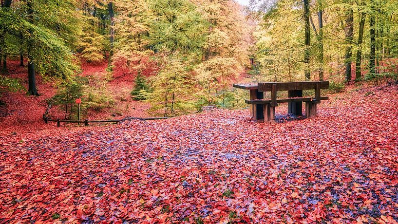 Sofa im Herbst von eric van der eijk