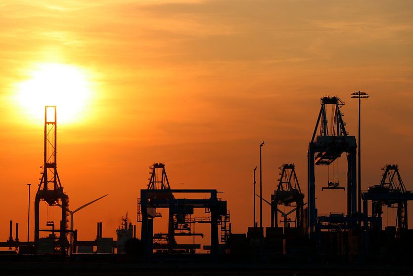 Port of rotterdam at sunset by Jeffrey de Ligt