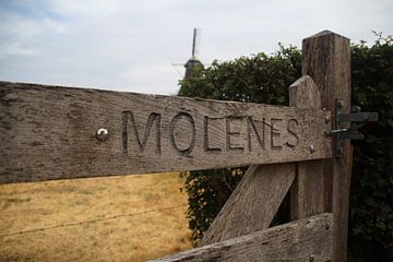 Molen bij Vilsteren van Lisette Hendrickx