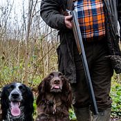 Frans Bovens Profile picture