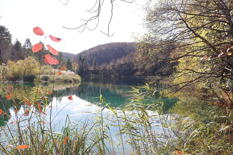 Plivic Lakes by Emma Wilms