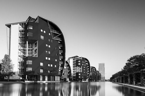 Armada Den Bosch Zwart Wit