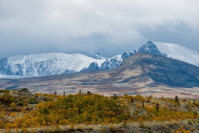 Landscape Norway by Harry Punter