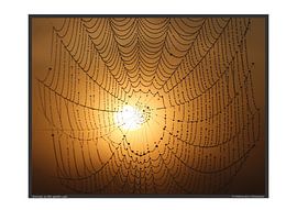 Sonnenaufgang - DIN A3 von Matthias Brix