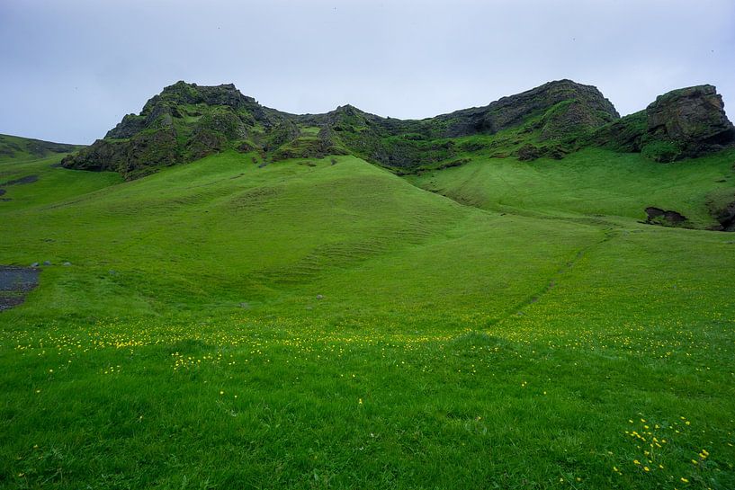 Islande - Prairie verte et paysage montagneux vue panoramique de la nature par adventure-photos
