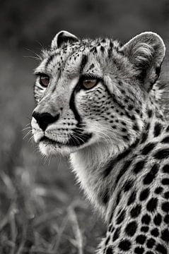 Zwart-wit portret van een majestueuze cheetah van Art & Soul Creations