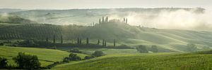 Toscaanse ochtend 2