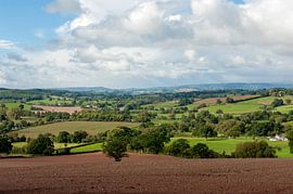 Monmouthshire by Richard Wareham