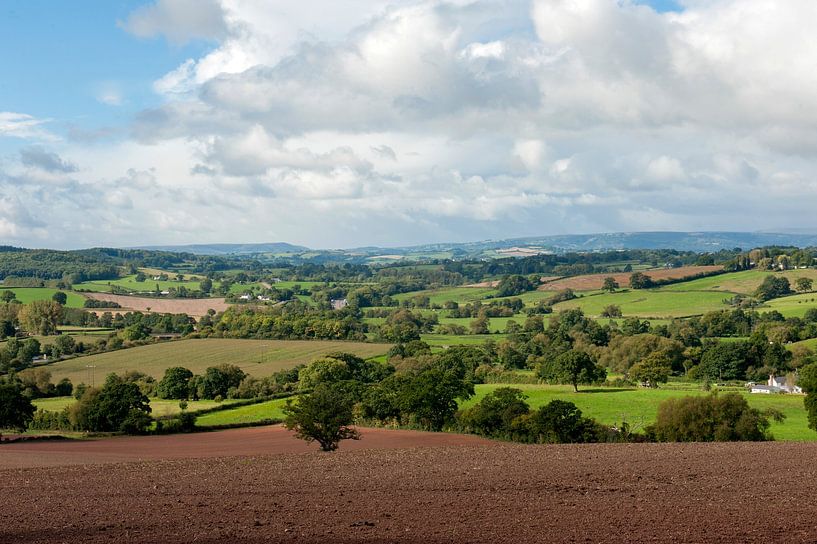 Monmouthshire by Richard Wareham