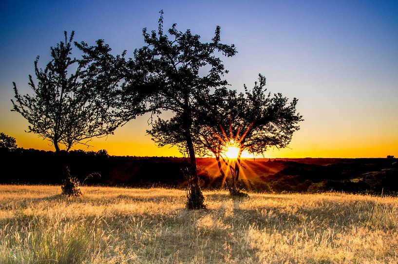 Fruitige Zonsopgang van Eric van Schaijk