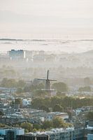 Mill in Utrecht in the early morning