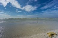USA, Florida, Perfect empty white sand beach of honeymoon island by adventure-photos thumbnail