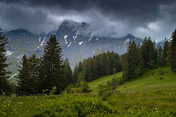 STIMMUNGSVOLLES MOORLAND von Simon Schuhmacher