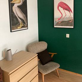 Klantfoto: American Flamingo, origineel  (gezien bij vtwonen), op canvas