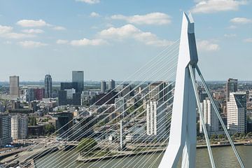 Rotterdam through the tip of the Erasmus bridge by MS Fotografie | Marc van der Stelt
