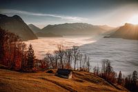 Autumn sunset