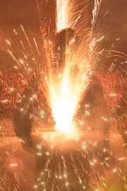 tückische Schönheit von Patrick van Dijk