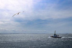 Zee uitzicht op Vlissingen strand