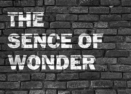 Motivational saying graffiti in black and white by KalliDesignShop