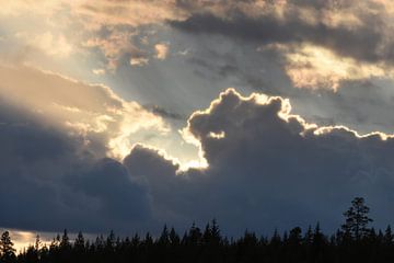 Gouden Wolken van Eigen Wijze Zweden