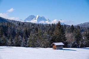 Verschneite Buckelwiesen bei Mittenwald, eingebettet in die winterliche Bergwelt der Alpen.