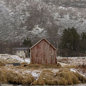 Het rode huisje bij Ramberg, Noorwegen van Danielle Kramer