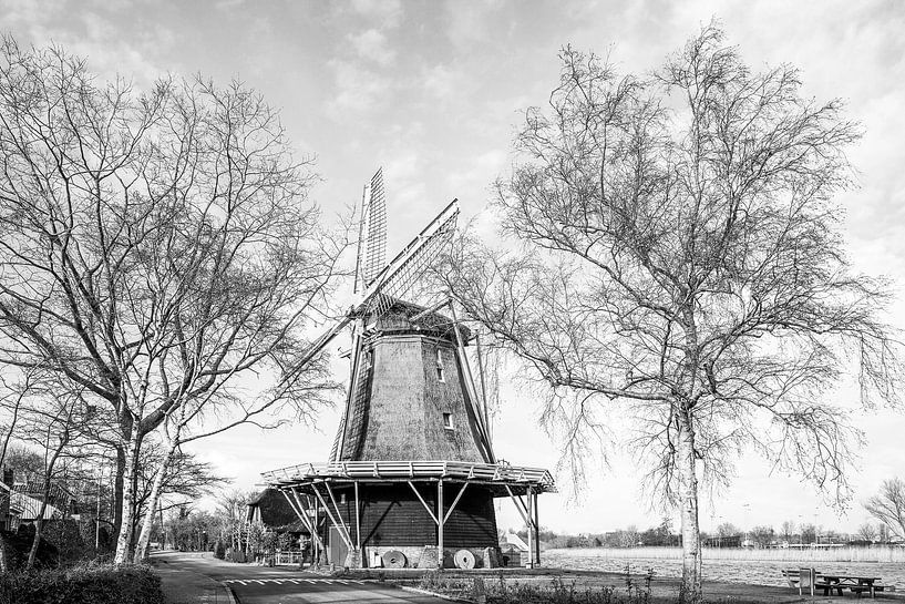 Mühle. Holland. Schwarz-weiß. von Alie Ekkelenkamp