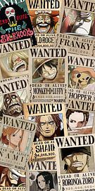 one piece wanted anime poster