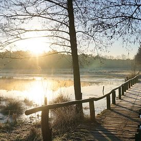 Pannenhoef van Michelle van Merrienboer