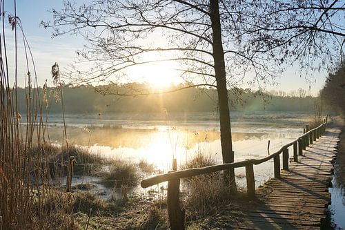 Pannenhoef // Etten-Leu // Noord-Brabant // Natuur!