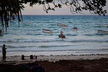 vista on the Indian Ocean Zanzibar by Jeremy Duvekot