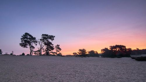 Pastelkleurige zonsopkomst boven de Lange Duinen van Soest van Ad Jekel
