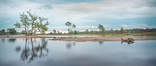 Reflections in the Oisterwijkse Vennen